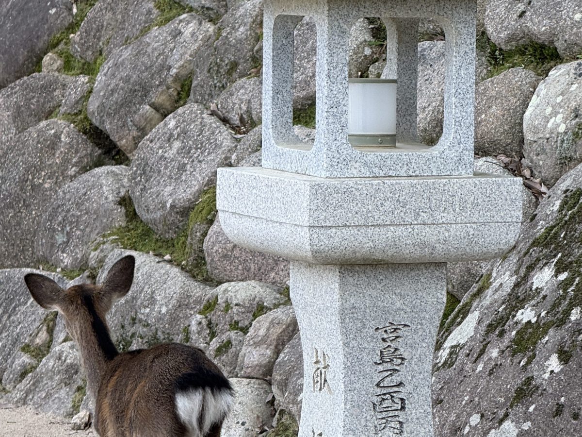 When Survival Becomes Your&nbsp;Personality