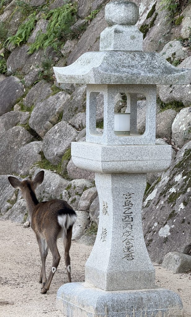 When Survival Becomes Your&nbsp;Personality