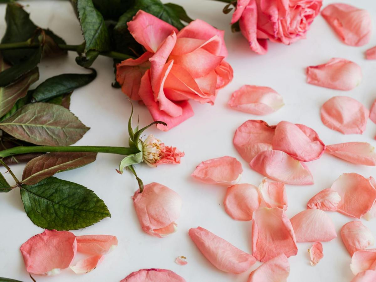 Holding Space Through Life’s Transitions: With a Holding&nbsp;Hand<3