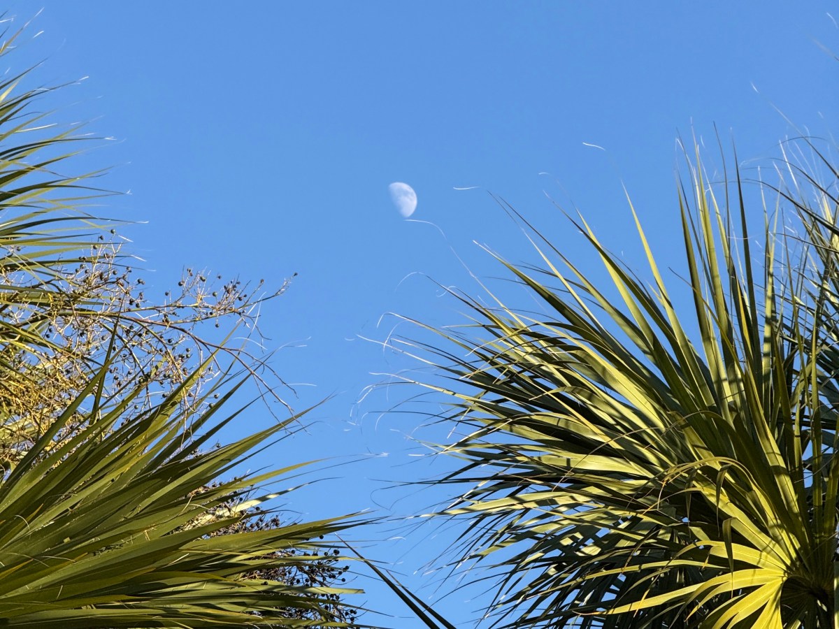 The Right Things Don’t Feel&nbsp;Confusing..