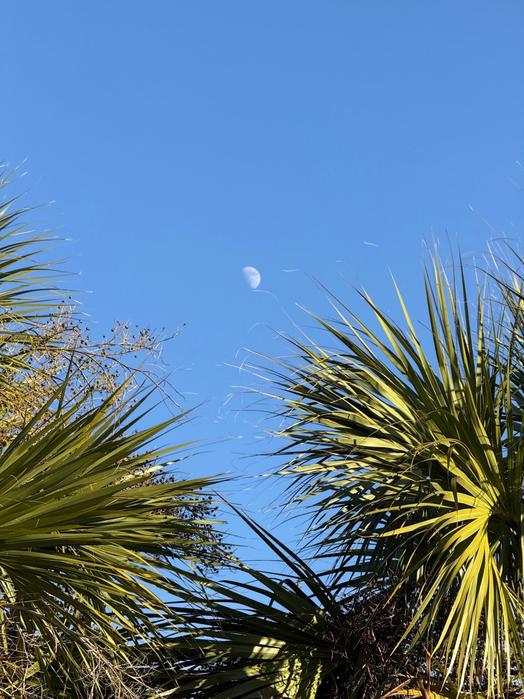 The Right Things Don’t Feel&nbsp;Confusing..